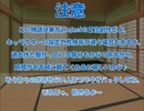 全てを失った付喪神が幻想入り　第十六張