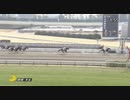 ビルボードクイーン　中京・3歳未勝利　2021年1月16日