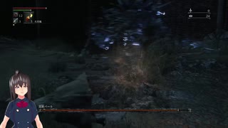 [初心者の] PS5でプレイするBloodborne 第8回 いろいろマラソンとか～黒獣パール [ために]