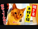 風呂場を覗き見する好奇心旺盛な猫が取った行動とは…！