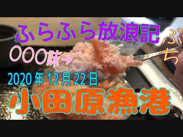 ふらふら放浪記プチ（小田原漁港)in2020年12月22日