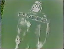 P-MODEL フルヘッヘッヘッ ANOTHER GAMEver.