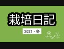 栽培日記 2021・冬編