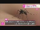 “蚊のタンパク質 ”人工的に作り 高感度の臭いセンサー開発