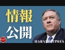 ポンペオが公開したびょうきの話、トランプ大統領の最近のスケジュール、最近流れている話について、アンケートのご協力ありがとうございます。