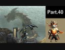 一式わらしべ狩猟G Part.40 バルクX一式【MHXX/NS】