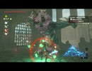 【ゼルダの伝説BotW】OLがゆく救国の旅【その39】