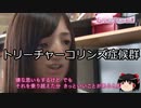 【ゆっくり朗読】ゆっくりさんと不思議な病気 その294