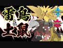 【ポケモン剣盾】カバドリュ&充電サンダーのならびがいい感じ【冠の雪原】　