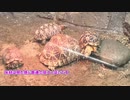 動物園の爬虫類飼育環境がガチで参考になる件（その2）