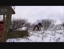 SHOW-YA FAIRY  弾いてみた　おかまが