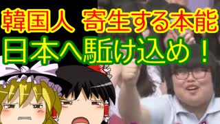 ゆっくり雑談 317回目(2021/1/19)