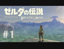 #1 ゼルダの伝説ブレスオブザワイルド　作業用実況プレイ