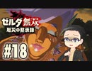 初めての無双はゼルダです。 実況プレイ part18