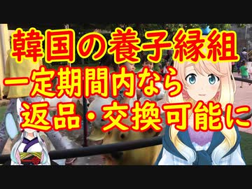 「養子は市場で売っている人形でもないし、犬や猫でもない」、文大統領のの「養子縁組、返品・交換可能にしよう」という発言に批判が殺到【世界の〇〇にゅーす】