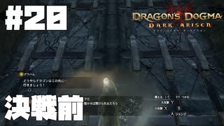 仕事辞めたので覚者になる。#20【ドラゴンズドグマダークアリズン】【DDDA】