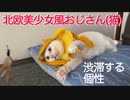 オッドアイの北欧美少女風おじさん猫珍獣