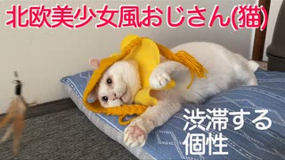 オッドアイの北欧美少女風おじさん猫珍獣