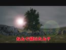 島根の木2