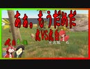 石で虎と戦う友達の結果がまさかだったwww　後半