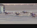 2021年1月19日大井競馬11R ’２１桃花賞(準重賞・3歳牝馬) ティーズアレディー