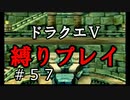【ドラクエ5 縛りプレイ】装備がある程度整ったのでボブルの塔再挑戦！Part57【アルカリ性】