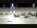 2021年1月19日高知競馬11R 新型コロナウイルス感染症対策支援 から池特別(B-1組) ハクナマタタ