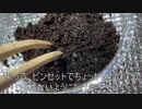 [顔面蒼白]タランチュラ飼育日記その６８[泣くかと思った]