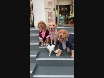 【写真撮りますよ！】