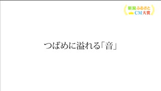 燕市　つばめに溢れる「音」