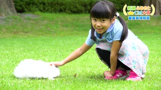 審査員特別賞 胎内市　中途半端がちょうどいい、樽ケ橋遊園