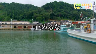 糸魚川市　石のまち糸魚川