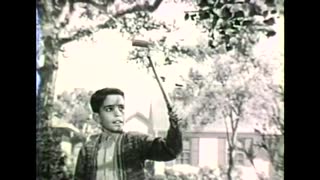 デーブ・スペクターが子役時代に出演していたケロッグのCM