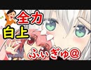 白上フブキのふぃぎゅ@メイトがカワイすぎてヤバイ【ホロライブ切り抜き/白上フブキ】