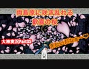 海だ❤︎両島原を探索せよ！！「大神」実況Part35
