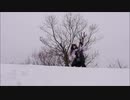 INSANIA - Dangerous Mind   弾いてみた