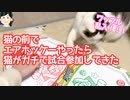 猫の前でエアホッケーしてみたら、猫がガチで試合参加してきた