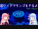60ワイドサンゴ水槽を立ち上げる その1
