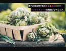 【スパイスを知ろう！】アーティチョークを知ろう！【part51】