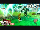 【実況】#029:ゼルダ無双 厄災の黙示録 初見実況プレイ【ハード】