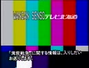 [VHS] 1991年1月21日 What is this? WANGAN SENSO [下手な英語]