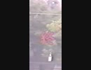 青鬼オンラインで1位を取れず死亡する武田信玄
