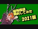茜ちゃんと厨二植物【植物福袋開封してみた】2021年版