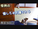 野良猫を保護したのはいいけどお腹に子猫抱えてる？