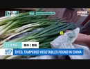 中国の偽造食品・今度は緑色に染められた青ネギが
