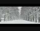 死に急いでいる人のための粉雪【レミオロメンRTA】