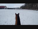 1月21日のオリミツとフェリオ君