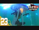 【ゼルダ無双 厄災の黙示録】BotWの100年前の戦いへ！*実況＃23