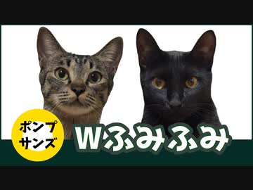 子猫あるある。クロンとミニポンふみふみ合戦