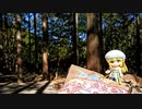 ROプレイヤーがソロキャンプに行ってきた⑯　キャンプinn海山